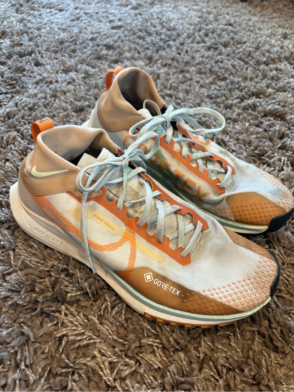 Nike React Pegasus Trail 4 GORE-TEX Men’s Size 9 Have a Nike Day FN8886-181 Shoe